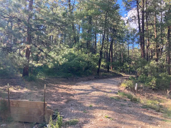$54,500 | Tbd Serenity Road, Chama, NM 87520