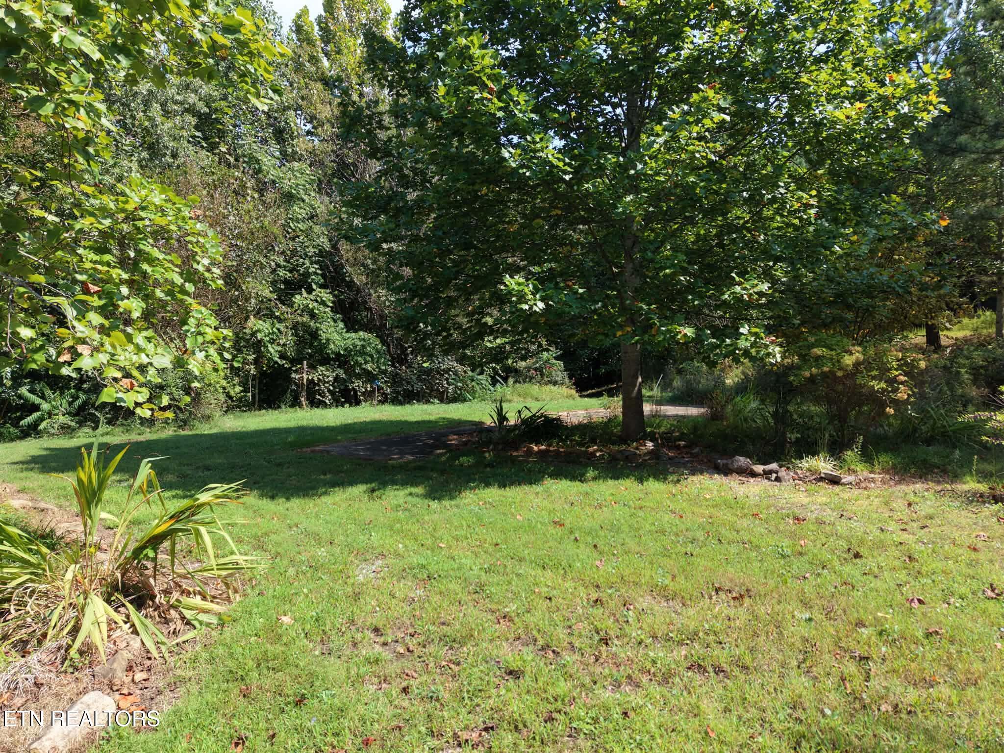 925 Tweed Springs Road Greeneville, TN 37743 - Photo 25 of 47 1-25