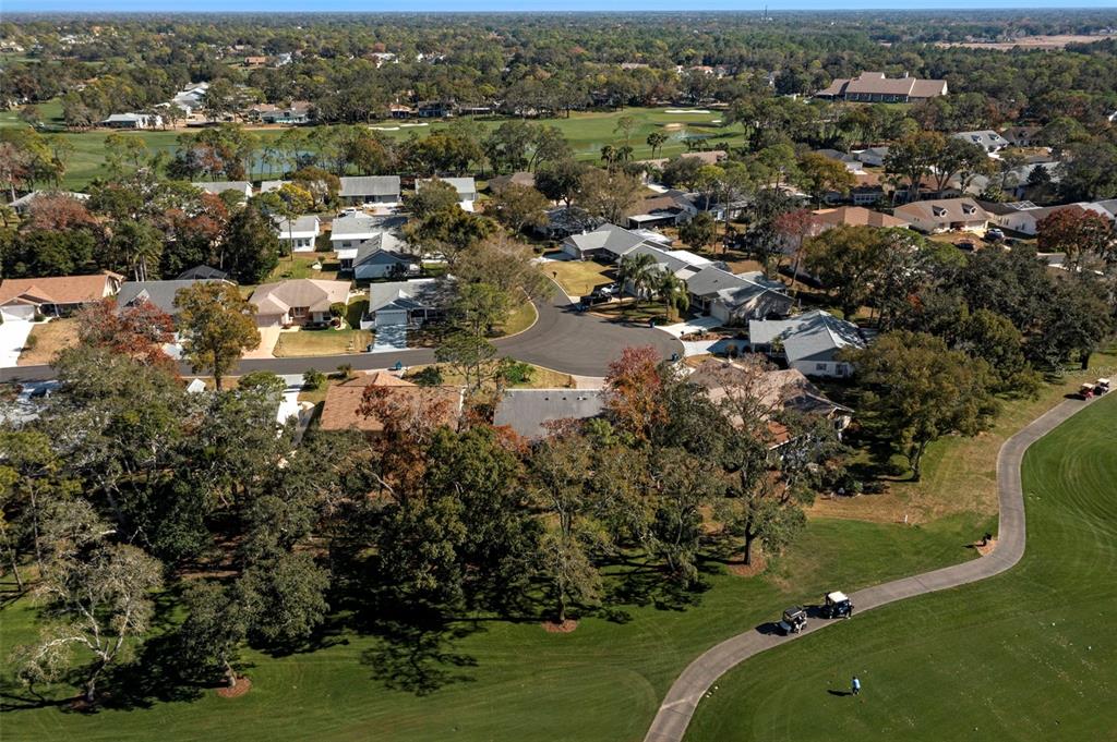 2401 Birdie Lane Spring Hill, FL 34606 - Photo 21 of 82