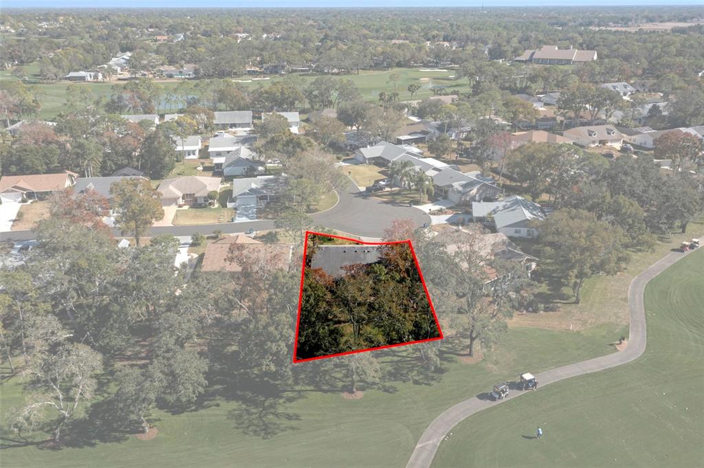 2401 Birdie Lane Spring Hill, FL 34606 - Photo 37 of 82