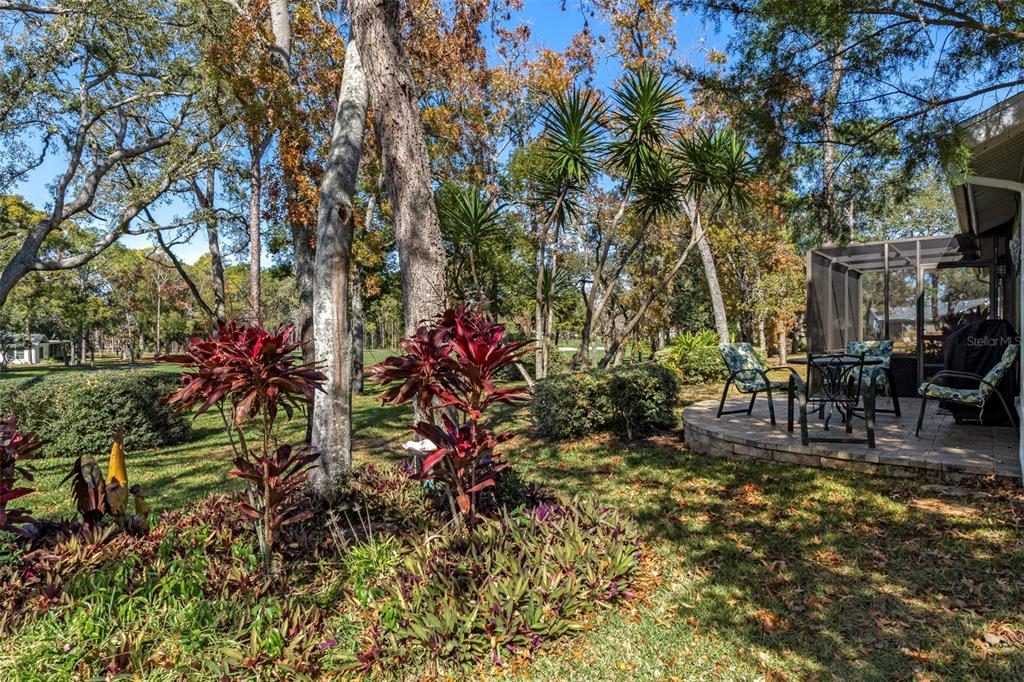 2401 Birdie Lane Spring Hill, FL 34606 - Photo 41 of 82