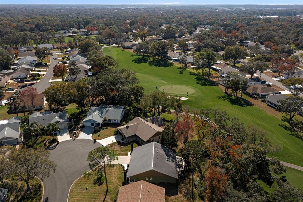 2401 Birdie Lane Spring Hill, FL 34606 - Photo 5 of 82