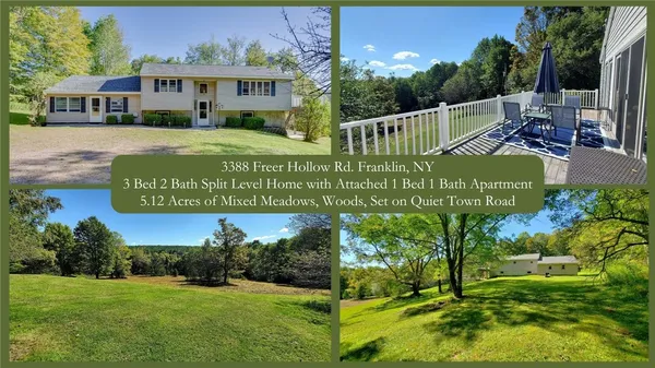 $320,000 | 3388 Freer Hollow Road, Franklin, NY 13856