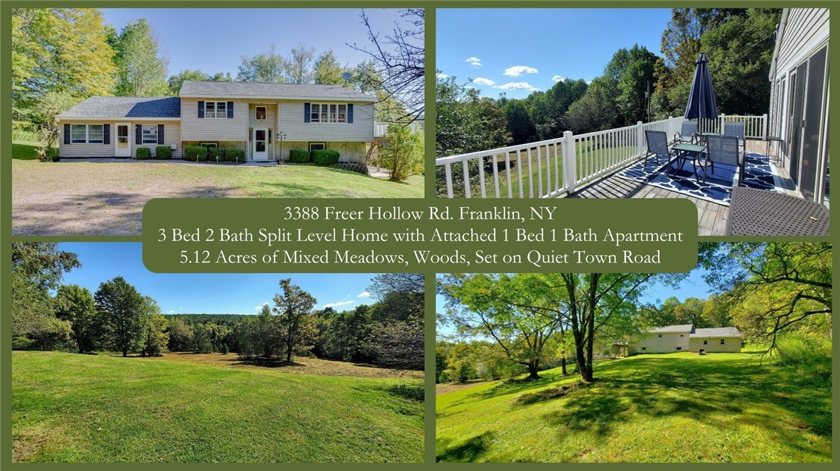 3388 Freer Hollow Road Franklin, NY 13856 - Photo 1 of 50