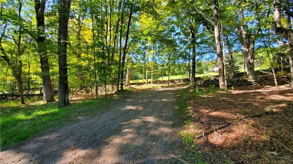 $320,000 | 3388 Freer Hollow Road, Franklin, NY 13856