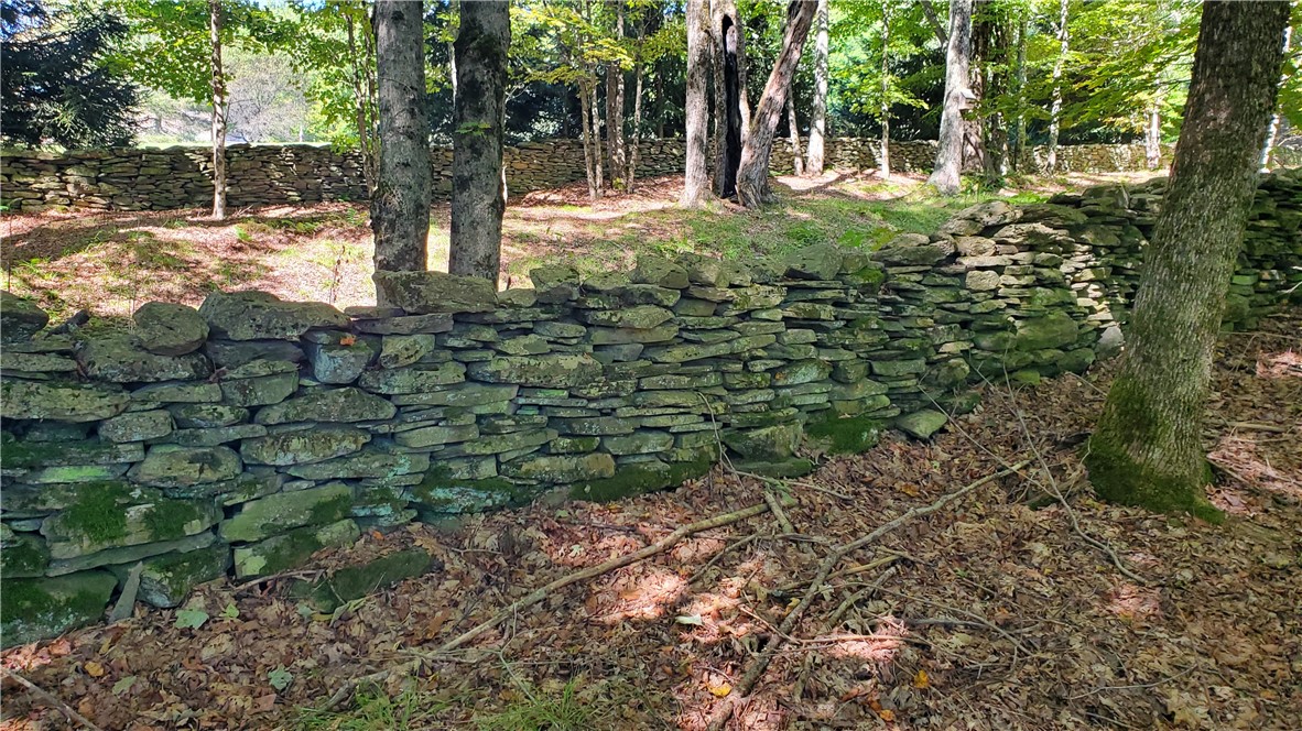 3388 Freer Hollow Road Franklin, NY 13856 - Photo 38 of 50