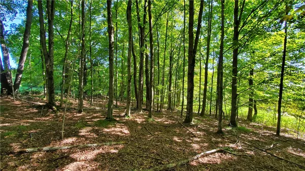 $320,000 | 3388 Freer Hollow Road, Franklin, NY 13856