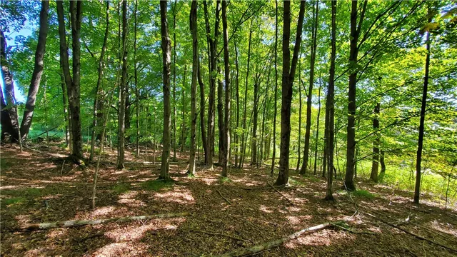 $335,000 | 3388 Freer Hollow Road, Franklin, NY 13856