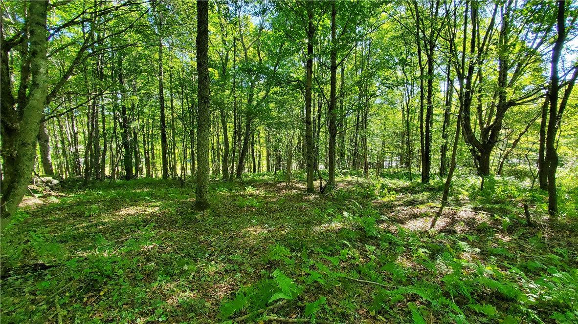 3388 Freer Hollow Road Franklin, NY 13856 - Photo 44 of 50