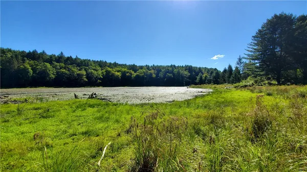 $320,000 | 3388 Freer Hollow Road, Franklin, NY 13856