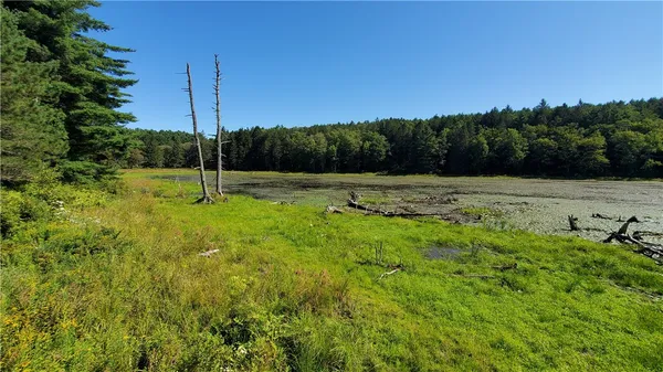 $320,000 | 3388 Freer Hollow Road, Franklin, NY 13856