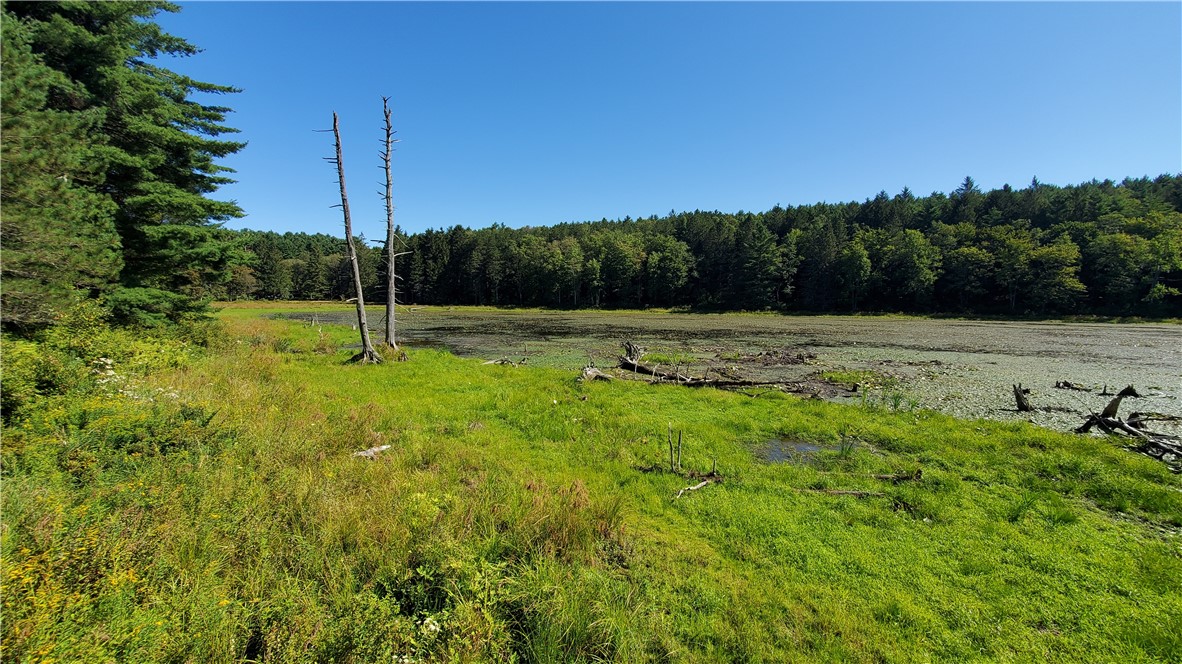 3388 Freer Hollow Road Franklin, NY 13856 - Photo 46 of 50