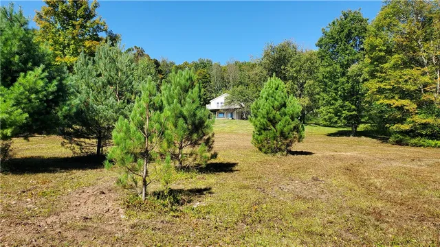 $335,000 | 3388 Freer Hollow Road, Franklin, NY 13856