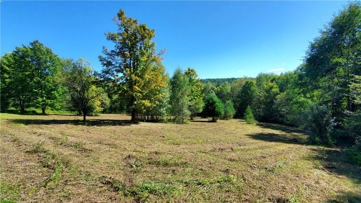 3388 Freer Hollow Road Franklin, NY 13856 - Photo 48 of 50