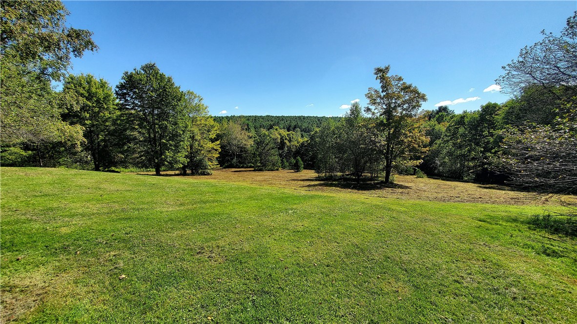 3388 Freer Hollow Road Franklin, NY 13856 - Photo 50 of 50