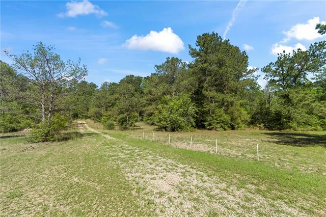 28481 Highway 25 Franklinton, LA 70438 - Photo 4 of 36