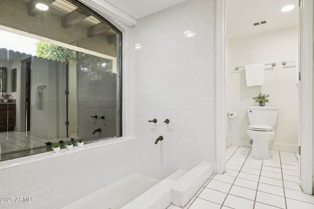 a bathroom with a shower and a toilet