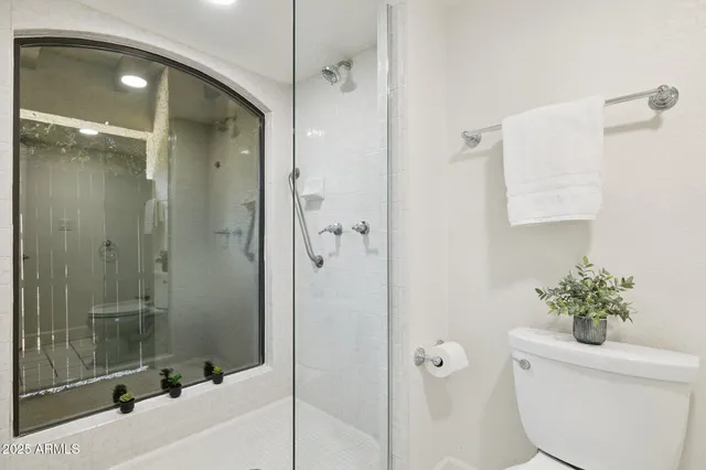 a bathroom with a shower and a toilet