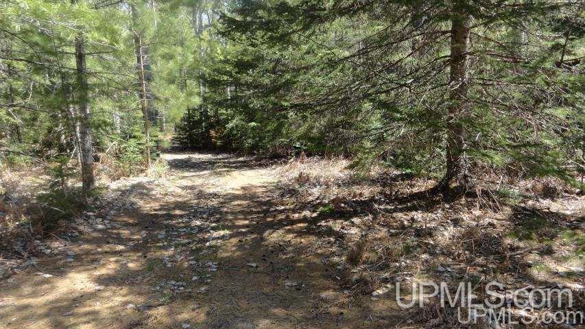 Tbd Off Doe Lake Road Munising, MI 49862 - Photo 1 of 11