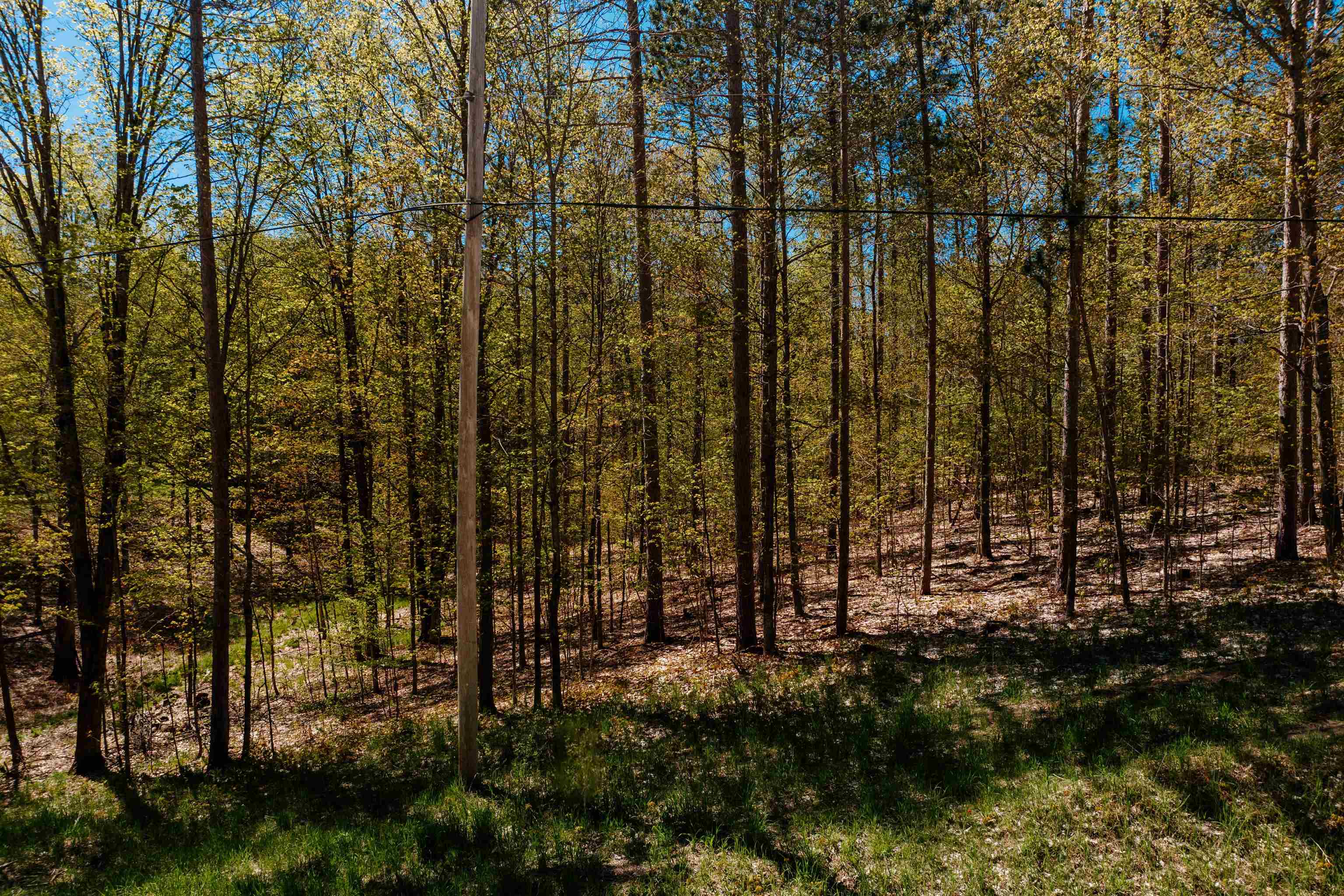 Parcel A Rahe Road Kingsley, MI 49649 - Photo 10 of 15 1948161-A0B4DB38-4063-413E-917C-7651D1EA58B0.JPG