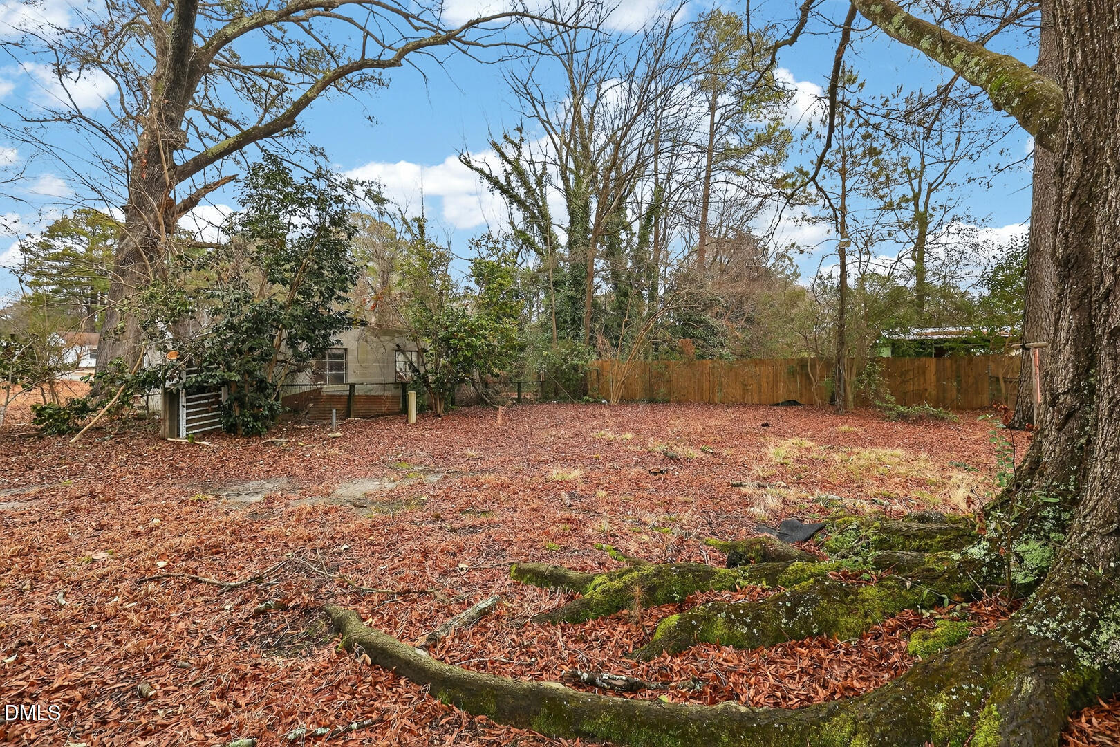 1613 Old Wilson Road Rocky Mount, NC 27801 - Photo 29 of 30 030_IMG_7110