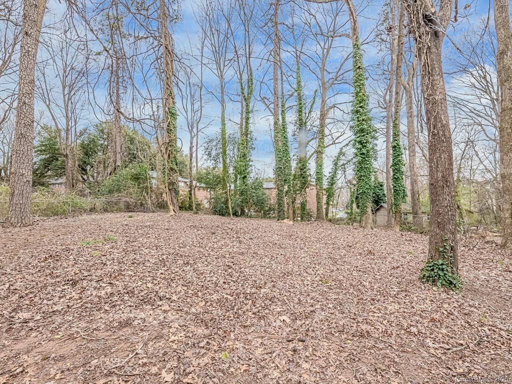 5014 Erickson Road, Unit L25 Charlotte, NC 28205 - Photo 21 of 23 Gallery Image 21