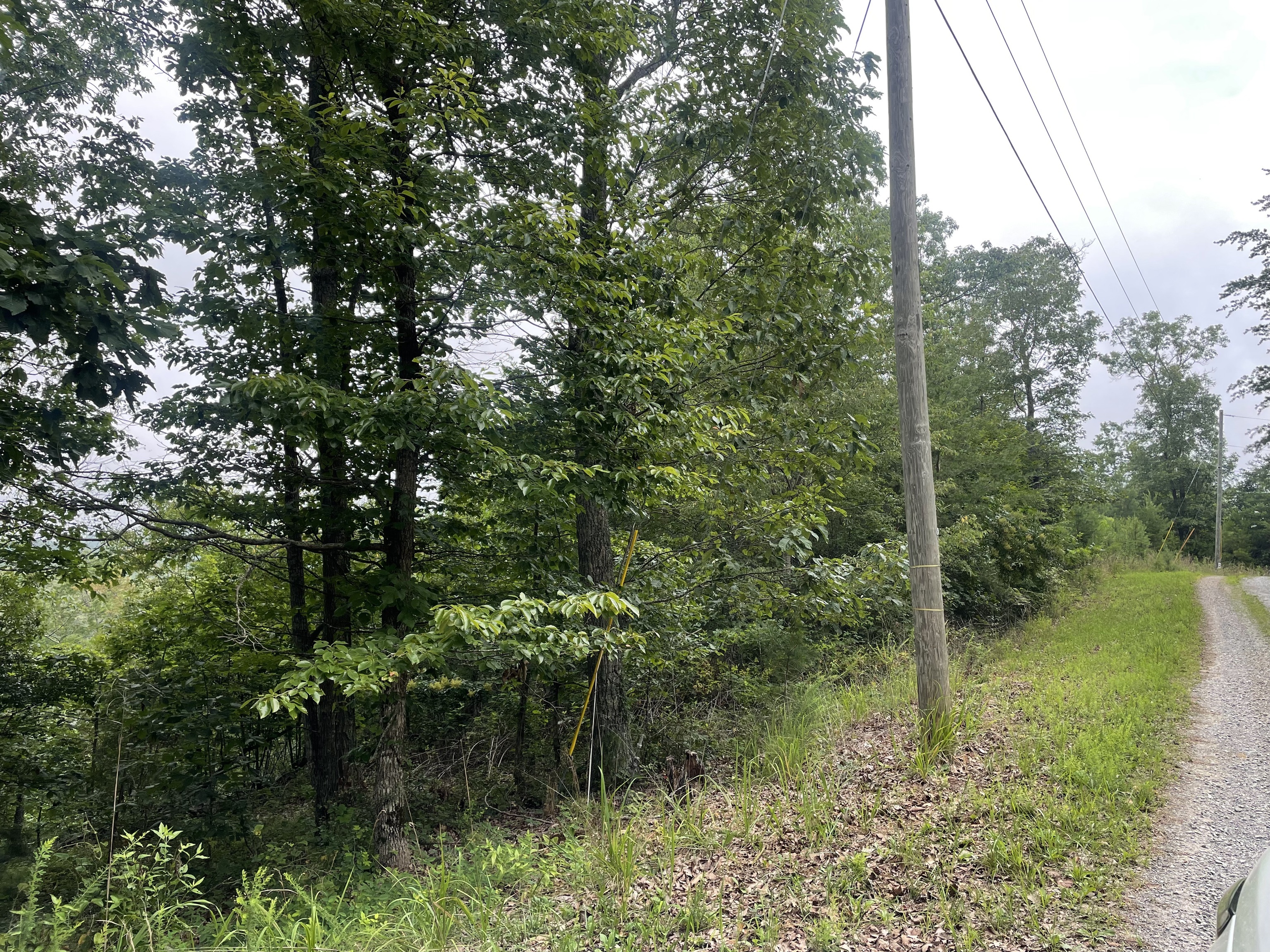 916 Aurora Lane Ranger, GA 30734 - Photo 2 of 35 a view of a lake with a house in background