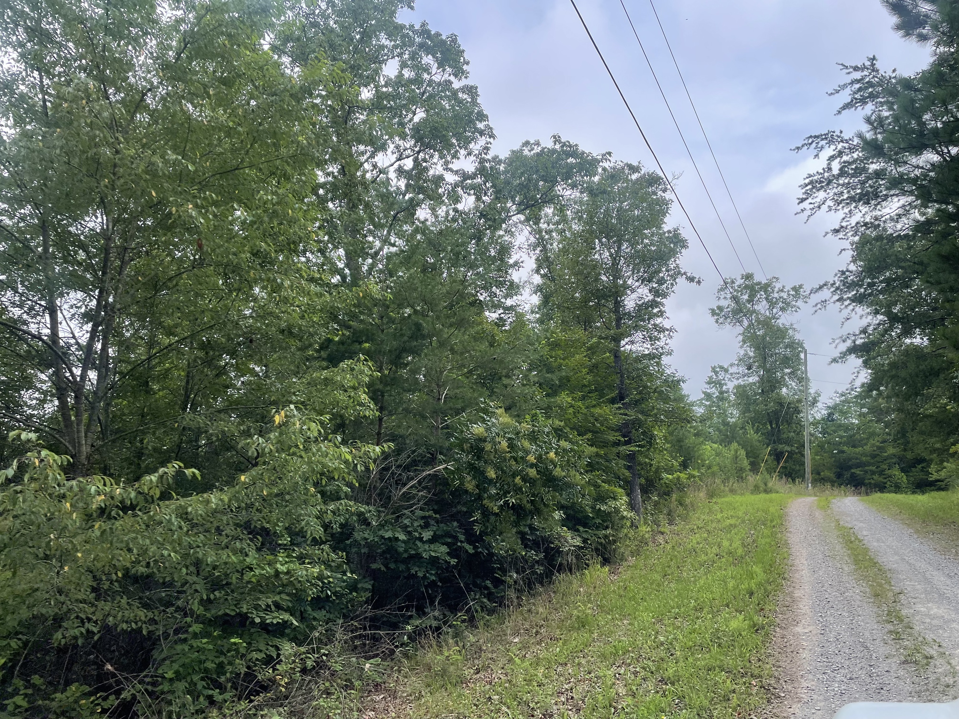 916 Aurora Lane Ranger, GA 30734 - Photo 3 of 35 a view of a lush green forest