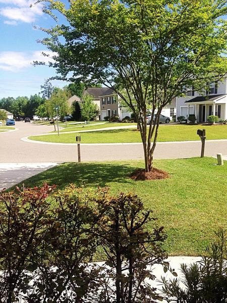 1006 Deerberry Road Goose Creek, SC 29445 - Photo 15 of 15 20160501130053019762000000-o