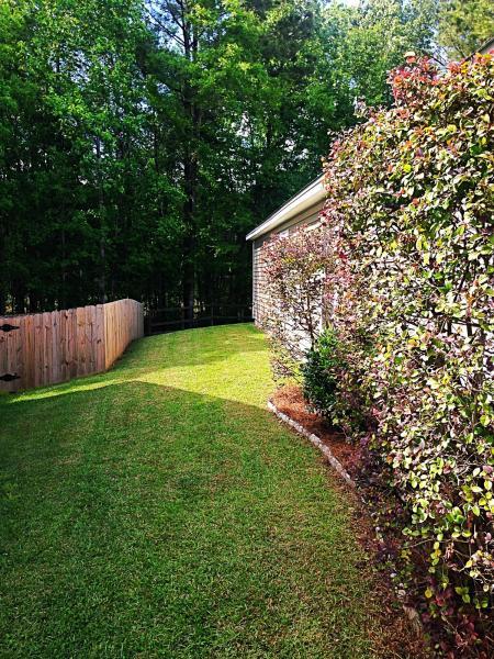 1006 Deerberry Road Goose Creek, SC 29445 - Photo 3 of 15 20160501130104898097000000-o