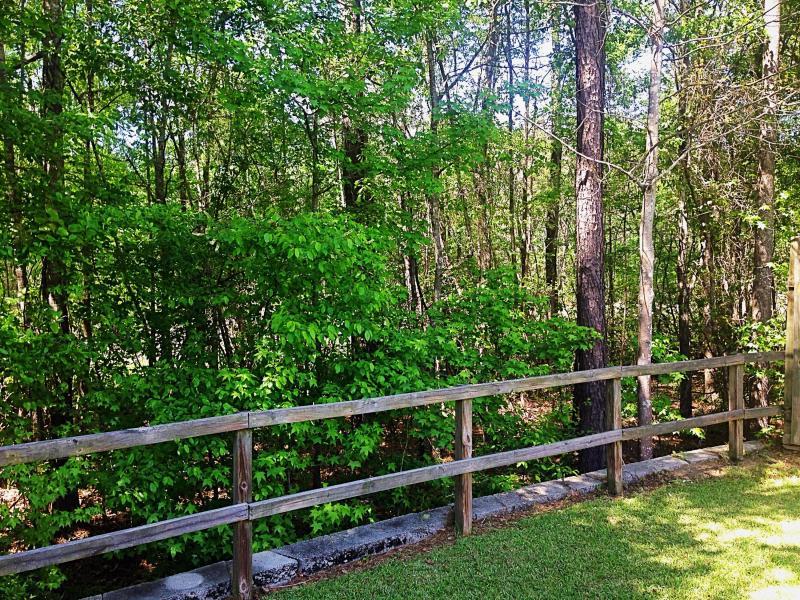 1006 Deerberry Road Goose Creek, SC 29445 - Photo 6 of 15 20160501124935561001000000-o