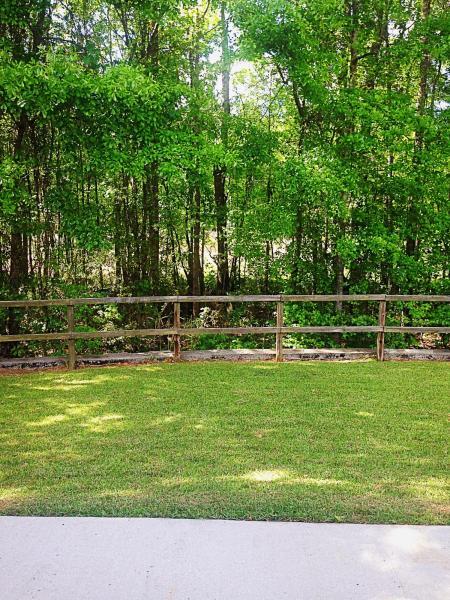 1006 Deerberry Road Goose Creek, SC 29445 - Photo 8 of 15 20160501125028737773000000-o