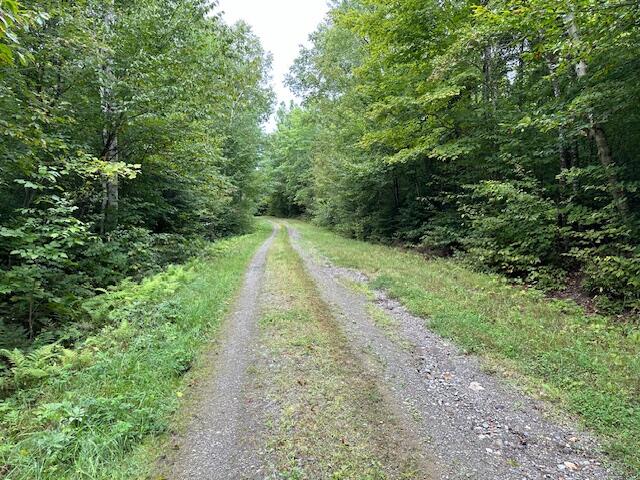 0 Thompson Settlement Road Oakfield, ME 04763 - Photo 16 of 33 IMG_5108