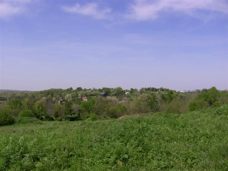 320 Cox-Howard Road Versailles, KY 40383 - Photo 2 of 12 Photo 2