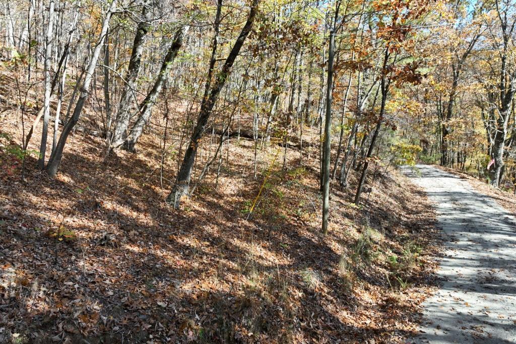 Lot 34 Wauka Ridge Road Cleveland, GA 30528 - Photo 2 of 14