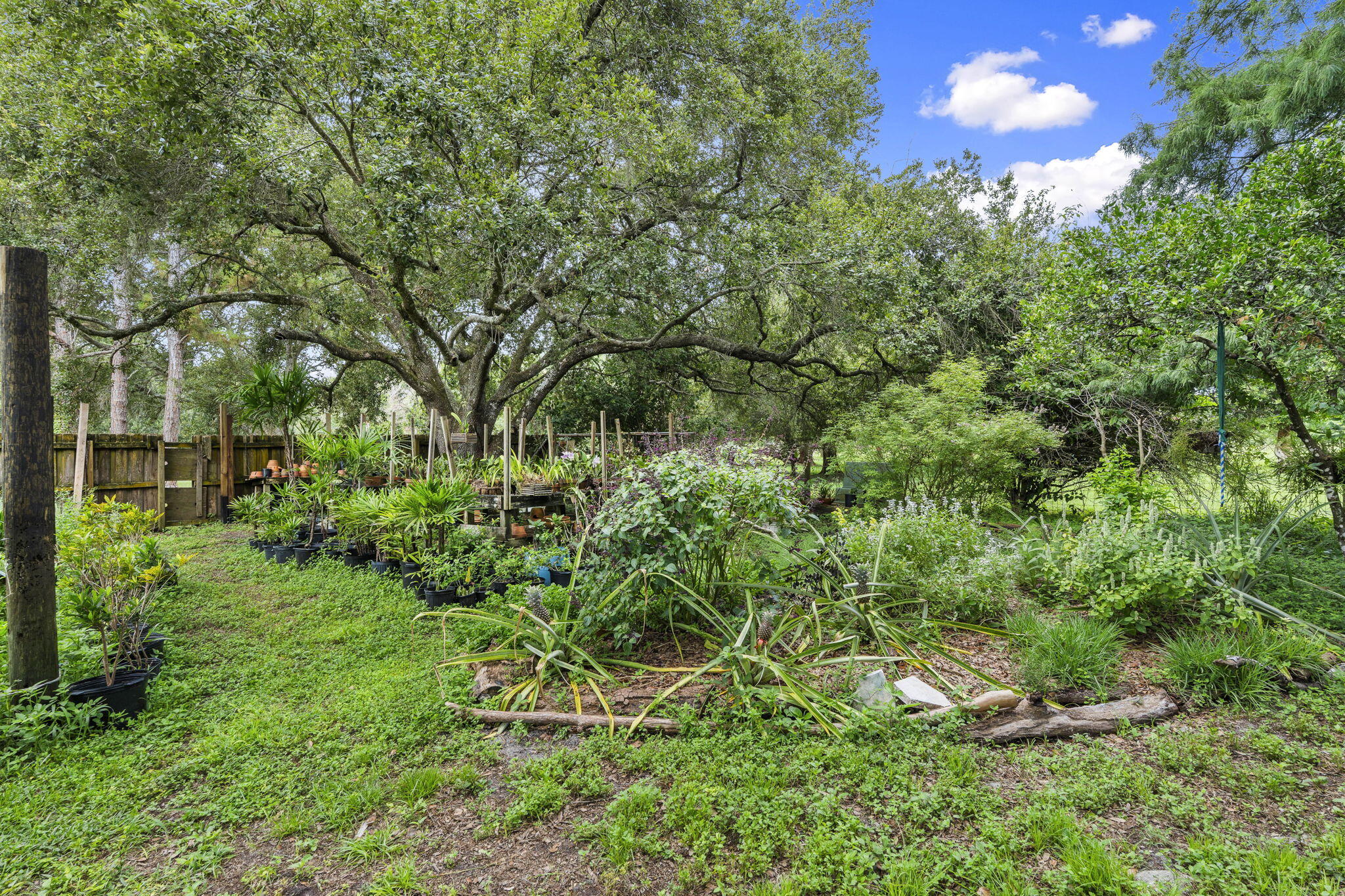 3603 Kirby Loop Road Fort Pierce, FL 34981 - Photo 54 of 61 58-web-or-mls-DSC09502