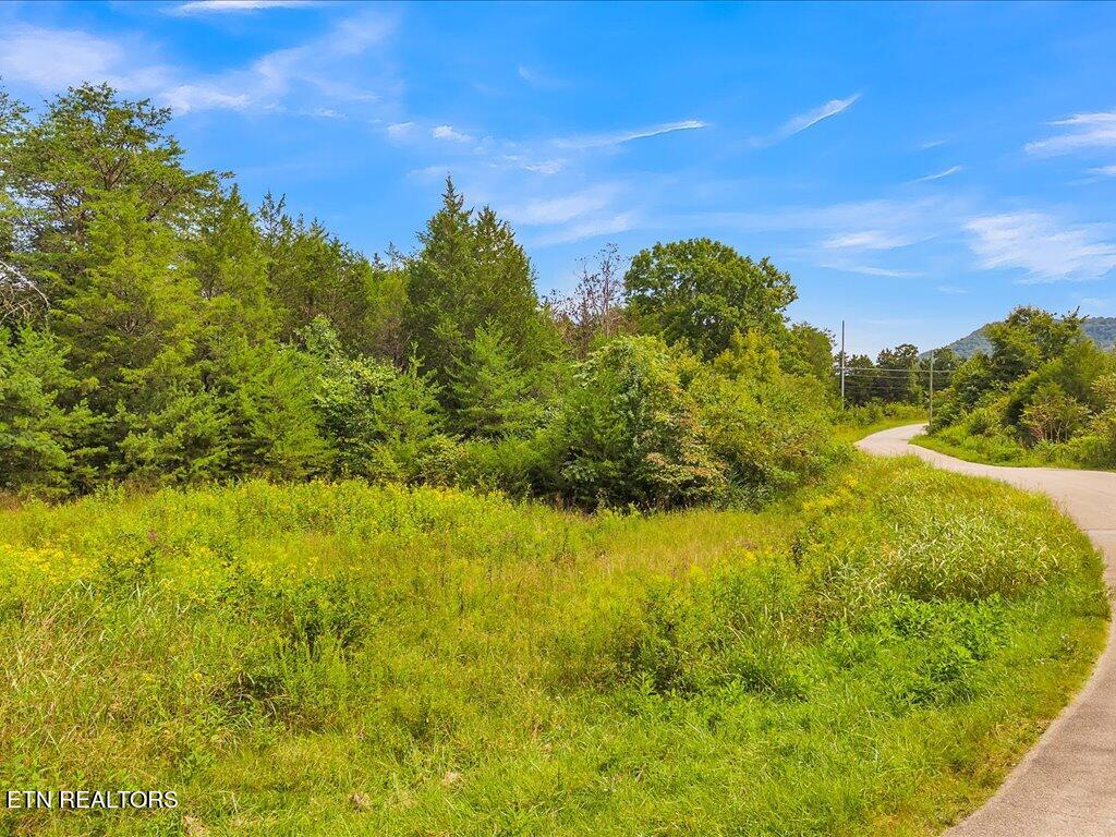 175 Miller Road Bean Station, TN 37708 - Photo 1 of 25 175 Miller Rd - 1