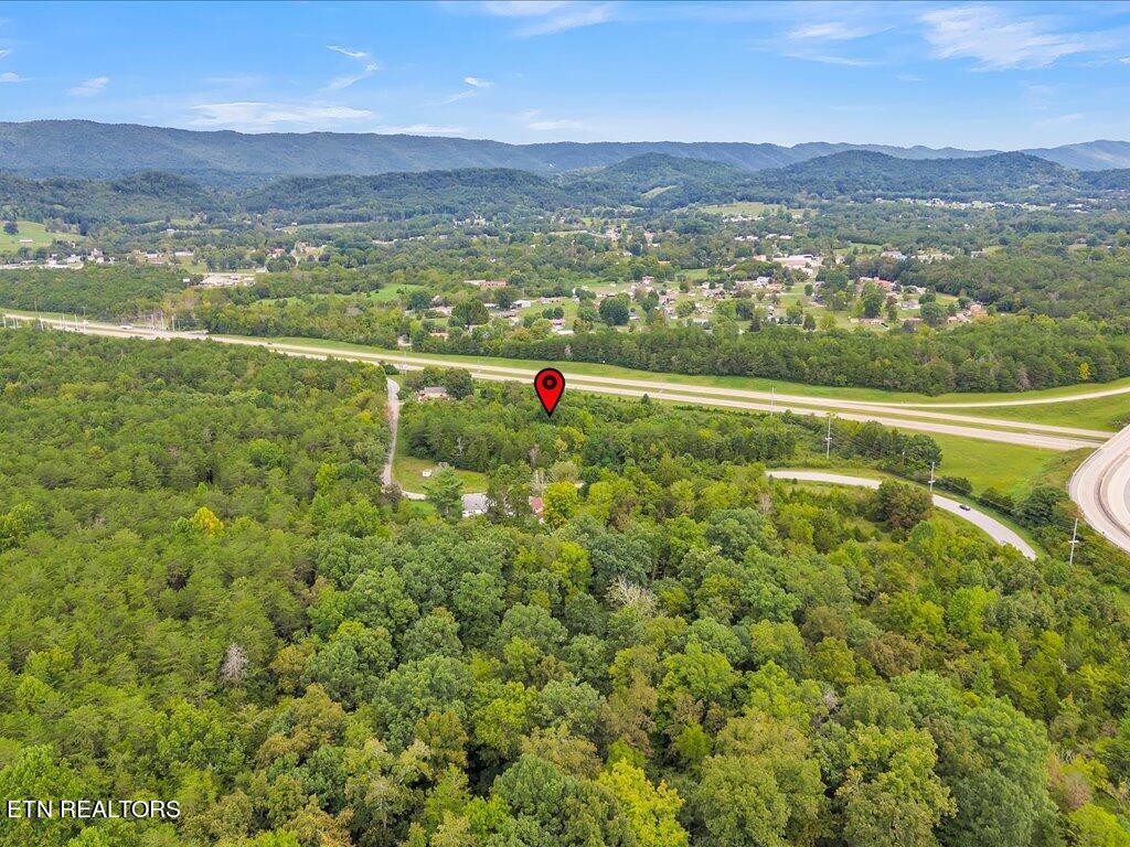 175 Miller Road Bean Station, TN 37708 - Photo 16 of 25 175 Miller Rd - 16