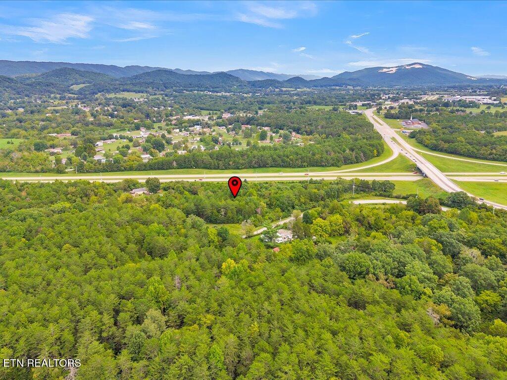 175 Miller Road Bean Station, TN 37708 - Photo 17 of 25 175 Miller Rd - 17