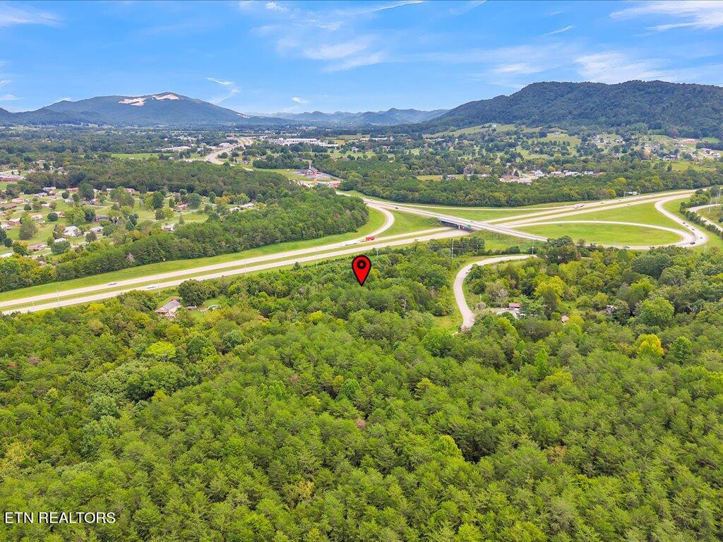 175 Miller Road Bean Station, TN 37708 - Photo 18 of 25 175 Miller Rd - 18