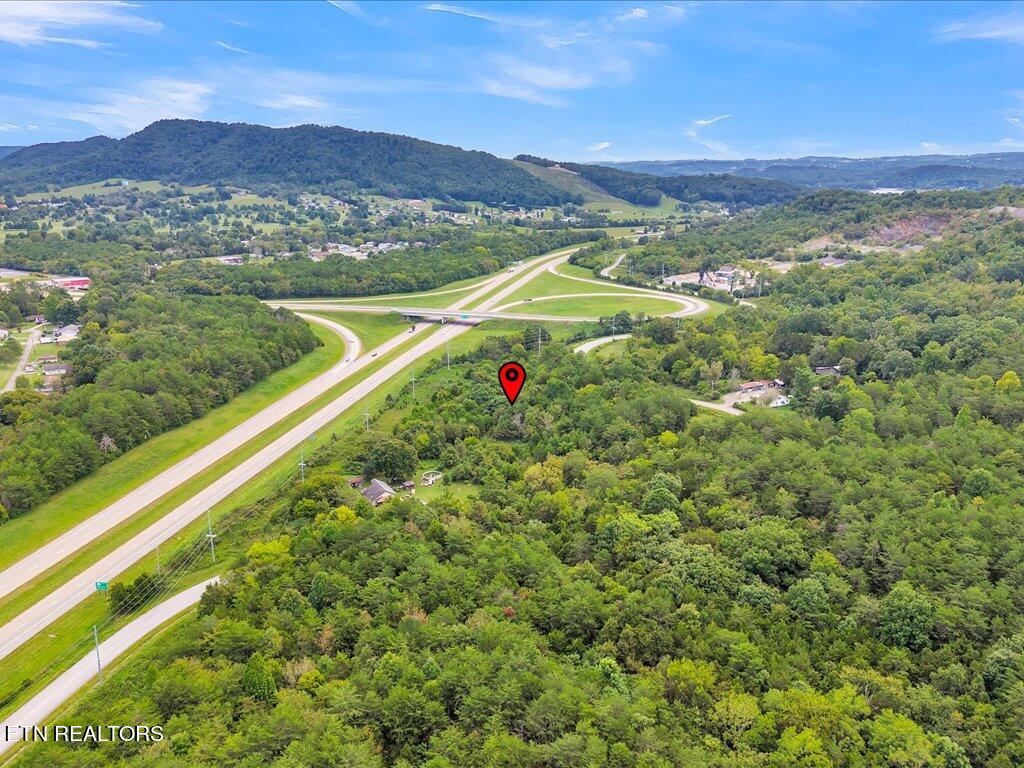 175 Miller Road Bean Station, TN 37708 - Photo 19 of 25 175 Miller Rd - 19