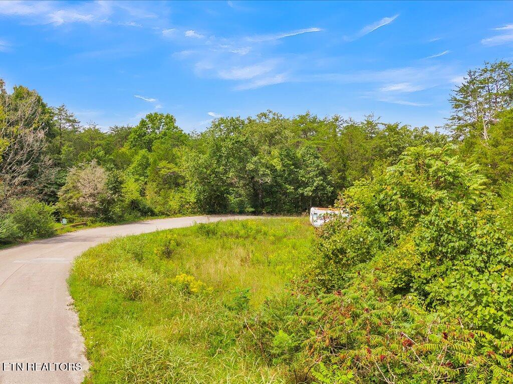 175 Miller Road Bean Station, TN 37708 - Photo 4 of 25 175 Miller Rd - 4