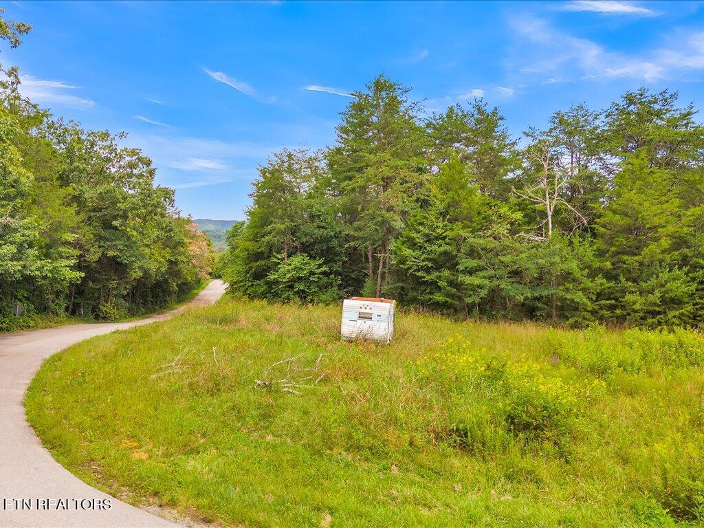 175 Miller Road Bean Station, TN 37708 - Photo 5 of 25 175 Miller Rd - 5