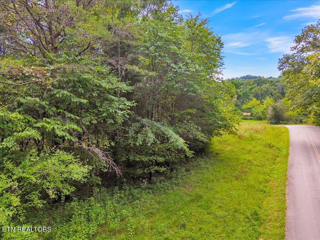 175 Miller Road Bean Station, TN 37708 - Photo 6 of 25 175 Miller Rd - 6