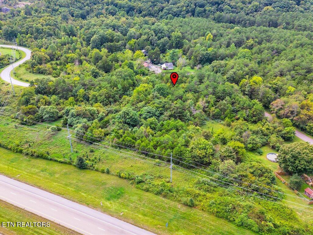 175 Miller Road Bean Station, TN 37708 - Photo 10 of 25 175 Miller Rd - 10