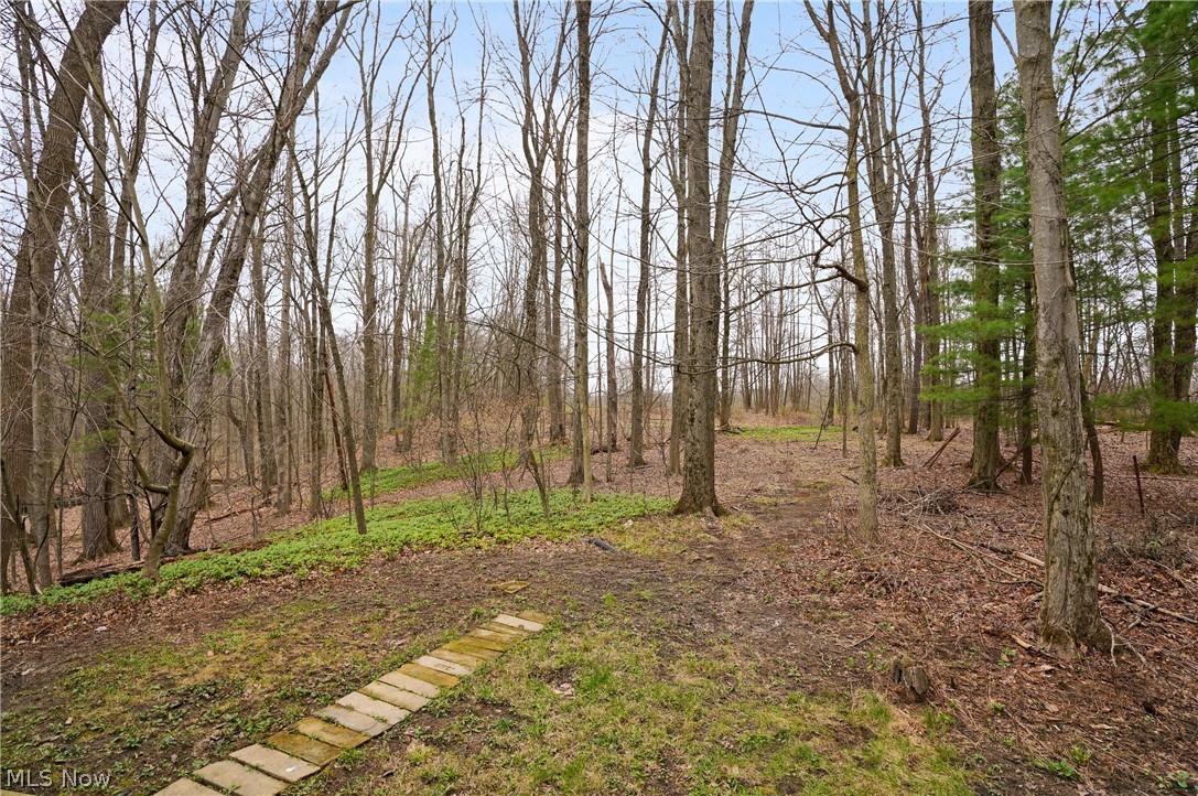 5060 Leffingwell Road Canfield, OH 44406 - Photo 37 of 45