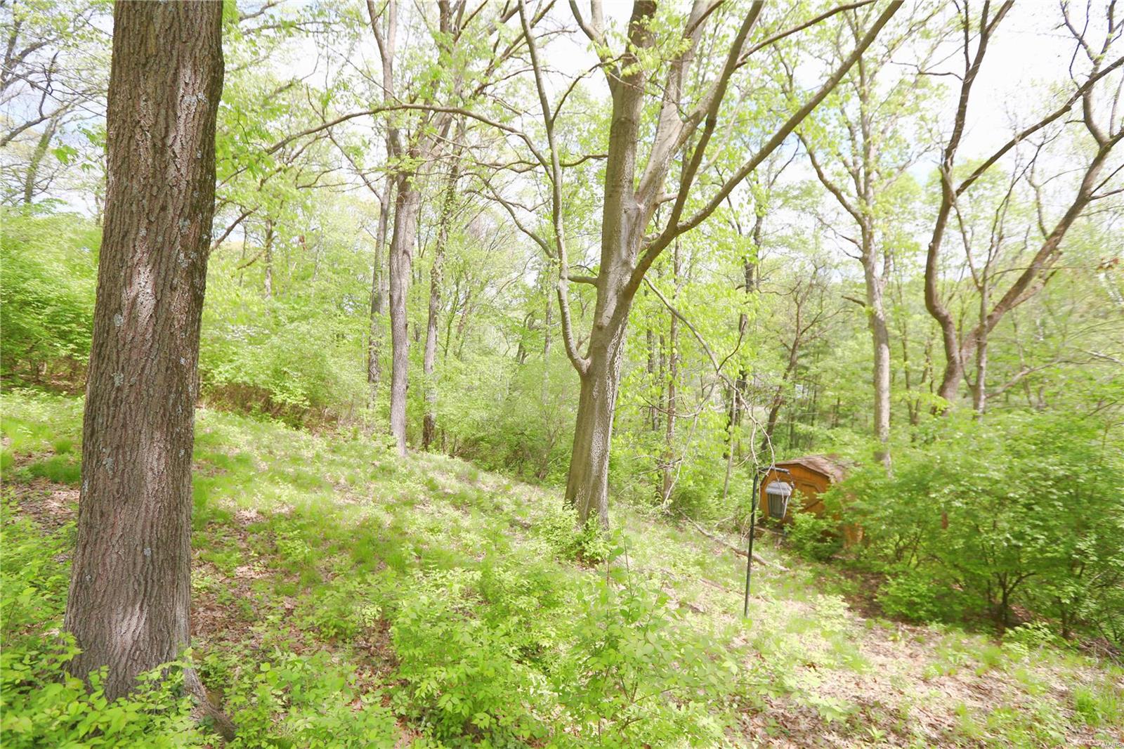 1759 Horseshoe Ridge Road Chesterfield, MO 63005 - Photo 12 of 12 Gallery Image 12