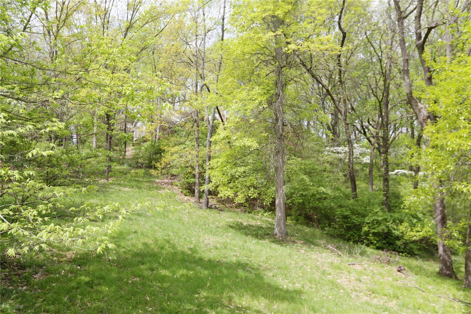 1759 Horseshoe Ridge Road Chesterfield, MO 63005 - Photo 10 of 12 Gallery Image 10