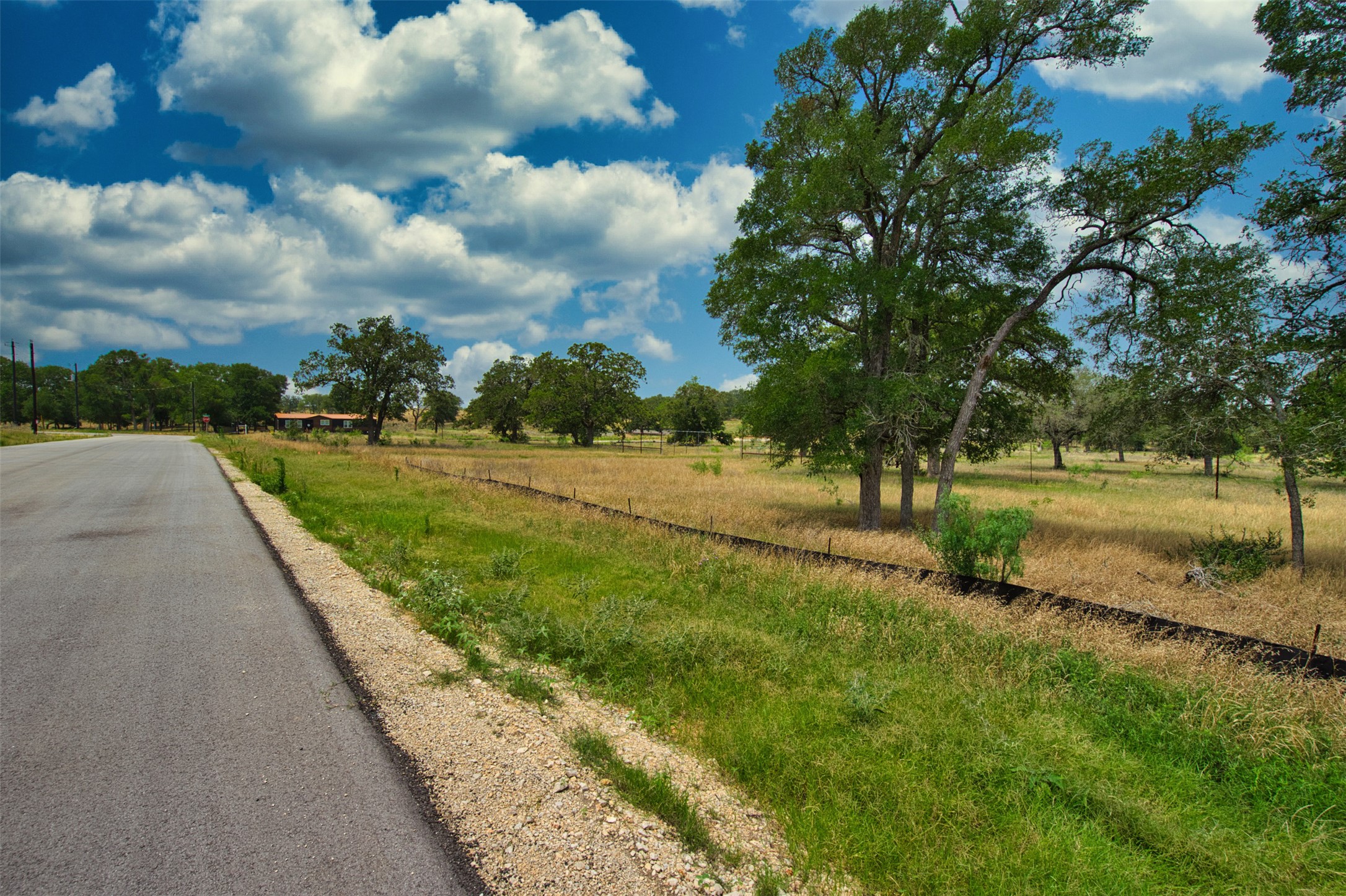 101 Ferguson Loop Dale Dale, TX 78616 - Photo 8 of 16 a view of a yard with large trees
