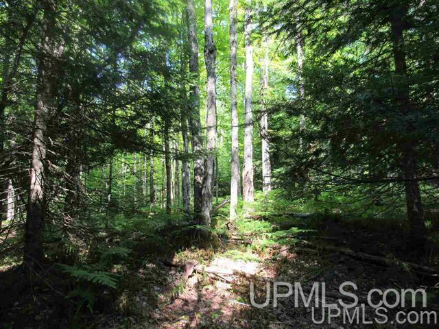 75 A Off Winona Tower Road Toivola, MI 49965 - Photo 3 of 4